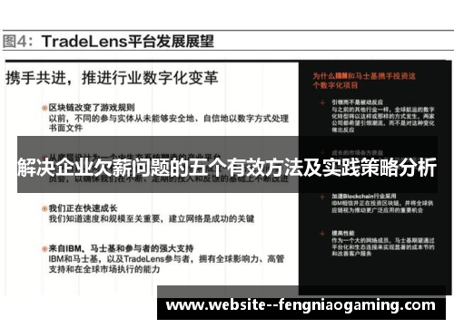 解决企业欠薪问题的五个有效方法及实践策略分析