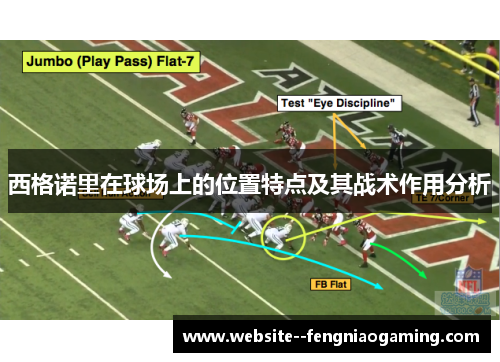 西格诺里在球场上的位置特点及其战术作用分析