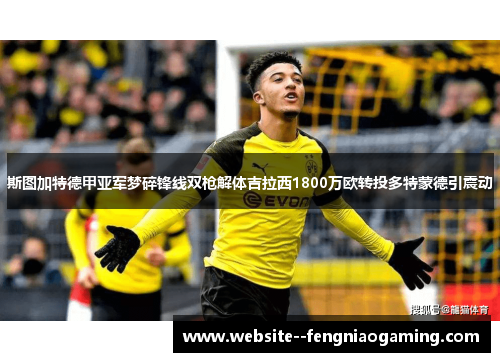斯图加特德甲亚军梦碎锋线双枪解体吉拉西1800万欧转投多特蒙德引震动 斯图加特德甲亚军梦碎锋线双枪解体吉拉西1800万欧转投多特蒙德引震动