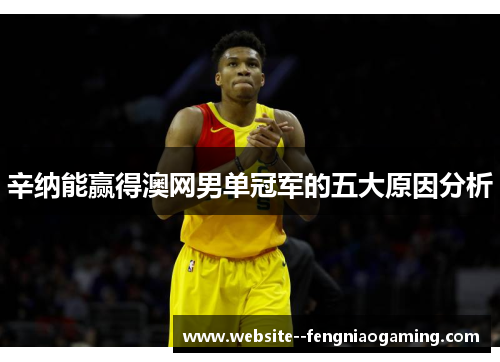 辛纳能赢得澳网男单冠军的五大原因分析