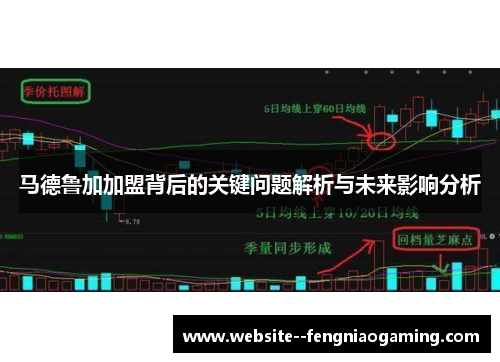 马德鲁加加盟背后的关键问题解析与未来影响分析