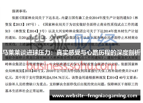马莱莱谈进球压力：真实感受与心路历程的深度剖析