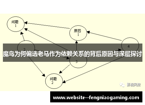 魔鸟为何偏选老马作为依赖关系的背后原因与深层探讨