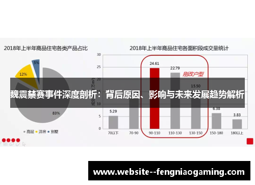魏震禁赛事件深度剖析：背后原因、影响与未来发展趋势解析