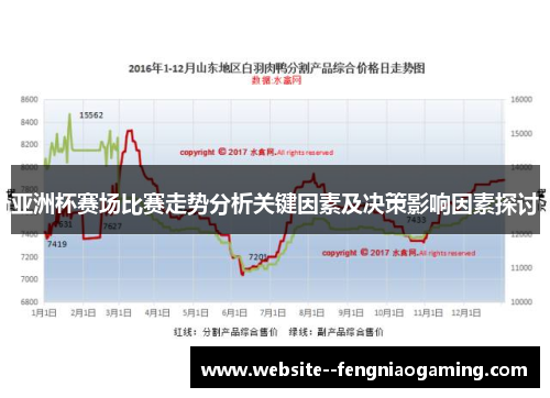亚洲杯赛场比赛走势分析关键因素及决策影响因素探讨