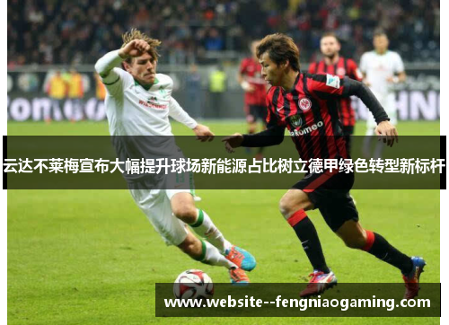 云达不莱梅宣布大幅提升球场新能源占比树立德甲绿色转型新标杆