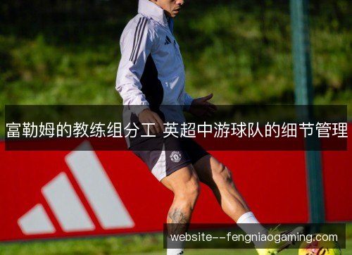 富勒姆的教练组分工 英超中游球队的细节管理 富勒姆的教练组分工 英超中游球队的细节管理